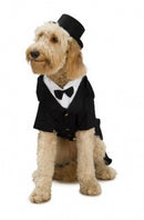 Rubies Pet Shop Dapper Dog Pet Halloween Costume
