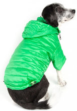 Load image into Gallery viewer, Pet Life Adjustable Mint Green Sporty Avalanche Dog Coat with Pop Out Zippered Hood