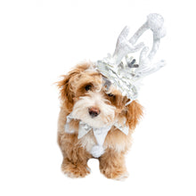 Load image into Gallery viewer, Pet Krewe Christmas Frozen Antler Silver Dog Costume