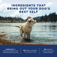Load image into Gallery viewer, Natural Balance L.I.D. Limited Ingredient Diets Chicken & Brown Rice Puppy Formula Dry Dog Food