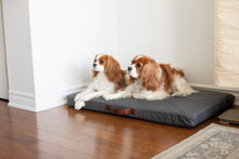 Load image into Gallery viewer, BeOneBreed Powernap Orthopedic Bed for Cats & Dogs