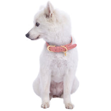 Load image into Gallery viewer, Blueberry Pet Polyester Fabric Webbing and Soft Genuine Leather Dog Collar in Pink and Grey, Priyanka Chopra's Wedding Registry Picks