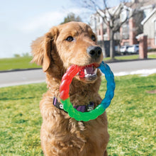 Load image into Gallery viewer, KONG Twistz Ring Dog Toy