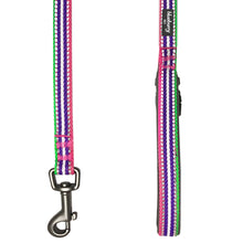 Load image into Gallery viewer, Blueberry Pet 3M Reflective Stripe Dog Leash with Soft & Comfortable Handle, Pink Emerald and Orchid
