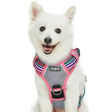 Load image into Gallery viewer, Blueberry Pet Soft & Comfy 3M Reflective Stripe Mesh Padded No Pull Dog Harness Vest, Pink Emerald and Orchid