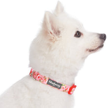 Load image into Gallery viewer, Blueberry Pet Spring Scent Inspired Floral Rose Adjustable Dog Collar, Baby Pink