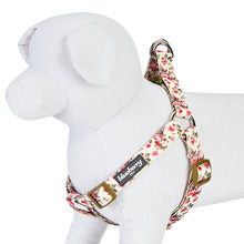 Load image into Gallery viewer, Blueberry Pet Step-in Spring Scent Inspired Adjustable Dog Harness, Pink Rose Print Ivory