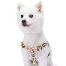 Load image into Gallery viewer, Blueberry Pet Step-in Spring Scent Inspired Adjustable Dog Harness, Pink Rose Print Ivory