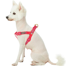 Load image into Gallery viewer, Blueberry Pet Step-in Adjustable Dog Harness, Lust Red with Velvety Heart Flocking