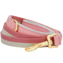 Load image into Gallery viewer, Blueberry Pet Polyester Fabric and Leather Dog Leash With Soft & Comfortable Handle, Pink and Grey