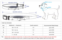 Load image into Gallery viewer, Blueberry Pet Safety Training Martingale Dog Collar Heavy Duty Adjustable Collar