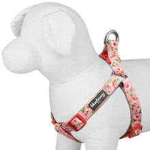 Load image into Gallery viewer, Blueberry Pet Step-in Spring Scent Inspired Floral Rose Baby Pink Adjustable Harness