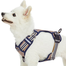 Load image into Gallery viewer, Blueberry Pet Soft and Comfy 3M Reflective Multi-Colored Stripe Mesh Padded No Pull Dog Harness Vest Olive and Blue-Gray