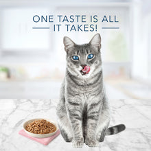 Load image into Gallery viewer, Blue Buffalo Tastefuls Natural Tender Morsels Chicken Entree Wet Cat Food