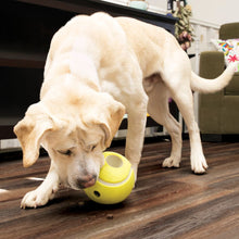Load image into Gallery viewer, KONG Rewards Tennis Ball Treat Dispensing Dog Toy