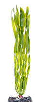 Load image into Gallery viewer, Penn-Plax Aquarium Decor Corkscrew Vallisneria Green