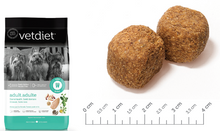 Load image into Gallery viewer, Vetdiet Adult Dental Care All Breed Chicken & Rice Formula