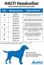 Load image into Gallery viewer, The Company of Animals Halti Headcollar for Dogs
