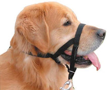 Load image into Gallery viewer, The Company of Animals Halti Headcollar for Dogs

