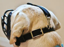 Load image into Gallery viewer, The Company of Animals Baskerville Ultra Muzzle for Dogs
