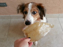 Load image into Gallery viewer, Bingo Free Range Buffalo Ears for Dogs
