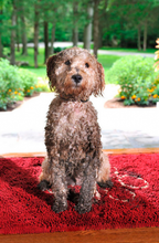 Load image into Gallery viewer, Dog Gone Smart Dirty Dog Medium Doormats
