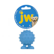Load image into Gallery viewer, JW Pet Spiky Cuz Dog Toy
