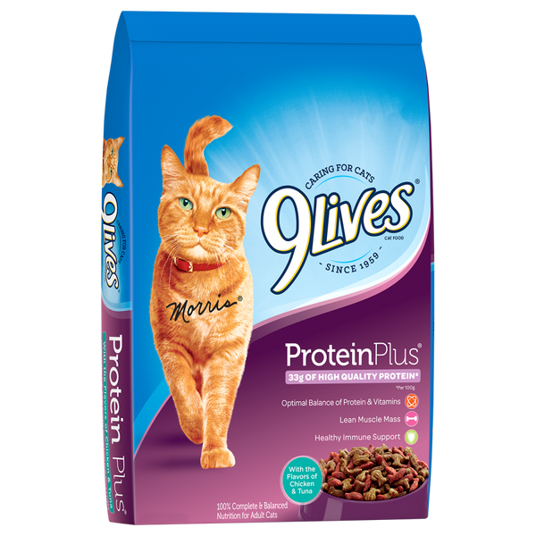 9 Lives Protein Plus Dry Cat Food