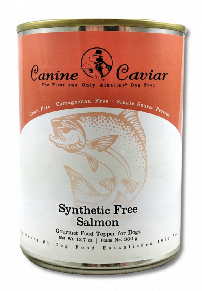 Canine Caviar Grain Free Synthetic Free Salmon Recipe Canned Dog Food