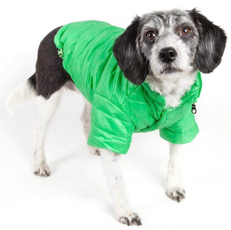 Pet Life Adjustable Mint Green Sporty Avalanche Dog Coat with Pop Out Zippered Hood