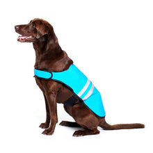 Load image into Gallery viewer, ZippyPaws Adventure Gear Blue Cooling Dog Vest
