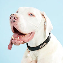 Load image into Gallery viewer, ZippyPaws Legacy Collection Black Dog Collar
