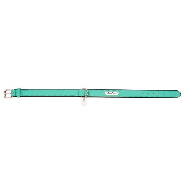 ZippyPaws Vivid Collection Teal Dog Collar