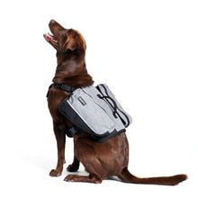 Load image into Gallery viewer, ZippyPaws Adventure Gear Graphite Backpack For Dogs
