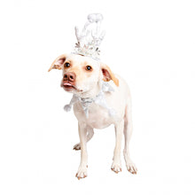 Load image into Gallery viewer, Pet Krewe Christmas Frozen Antler Silver Dog Costume
