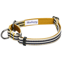 Load image into Gallery viewer, Blueberry Pet 3M Reflective Olive &amp; Blue-gray Stripe Safety Training Martingale Dog Collar
