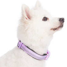 Load image into Gallery viewer, Blueberry Pet Soft &amp; Comfy 3M Reflective Padded Lavender Dog Collar
