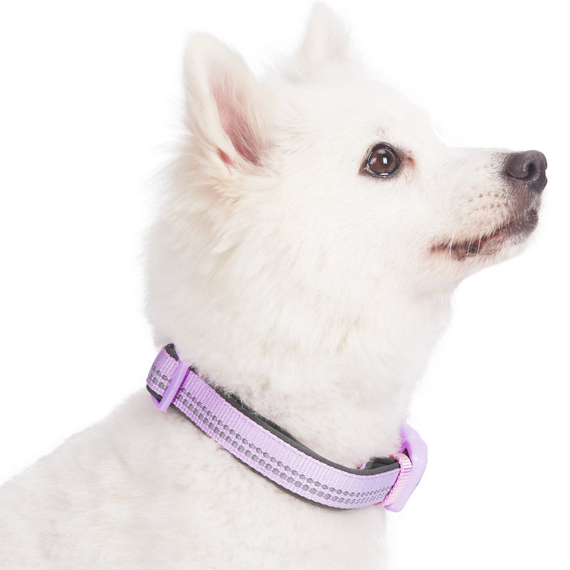 Blueberry Pet Soft & Comfy 3M Reflective Padded Lavender Dog Collar