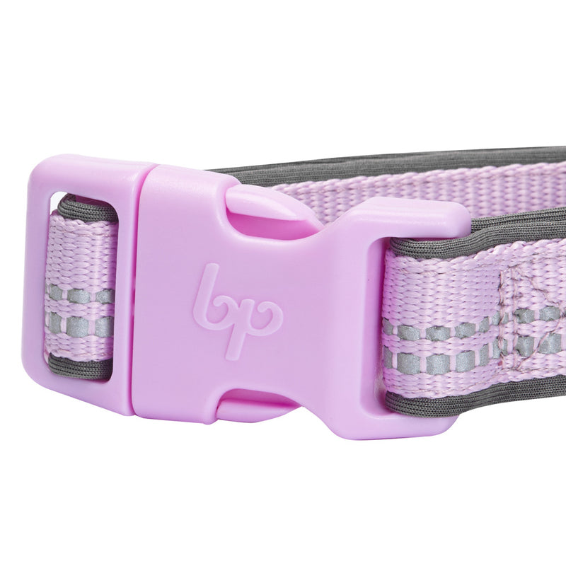 Blueberry Pet Soft & Comfy 3M Reflective Padded Lavender Dog Collar