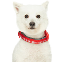 Load image into Gallery viewer, Blueberry Pet Soft &amp; Comfy 3M Red Reflective Padded Dog Collar
