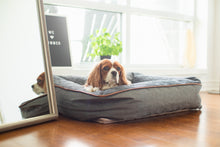 Load image into Gallery viewer, BeOneBreed Snuggle Bed Dark Gray Orthopedic Bed for Dogs &amp; Cats
