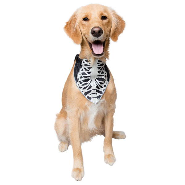 Pet Krewe Glow In The Dark Skeleton Bandana Costume for Cats & Dogs