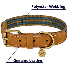 Load image into Gallery viewer, Blueberry Pet Polyester Fabric Webbing and Soft Genuine Leather Dog Collar in Navy and Olive
