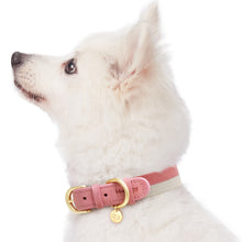 Load image into Gallery viewer, Blueberry Pet Polyester Fabric Webbing and Soft Genuine Leather Dog Collar in Pink and Grey, Priyanka Chopra&#39;s Wedding Registry Picks
