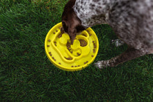 Load image into Gallery viewer, BeOneBreed Yellow Slow Feeder Dog Food Bowl
