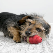 Load image into Gallery viewer, KONG Marathon Chicken Dog Treat 2-Pack
