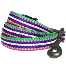 Load image into Gallery viewer, Blueberry Pet 3M Reflective Stripe Dog Leash with Soft &amp; Comfortable Handle, Pink Emerald and Orchid
