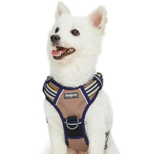 Load image into Gallery viewer, Blueberry Pet Soft and Comfy 3M Reflective Multi-Colored Stripe Mesh Padded No Pull Dog Harness Vest Olive and Blue-Gray
