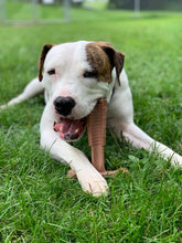 Load image into Gallery viewer, Ethical Pet Bambone Plus Dog Toy, Chicken Flavor
