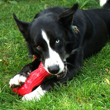 Load image into Gallery viewer, KONG Beezles Stick Assorted Dog Toys
